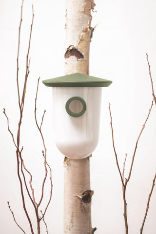 Singing Friend BREEDR - Plastic Nesting Box - Wild Green - Sustainable Bird Nesting Box