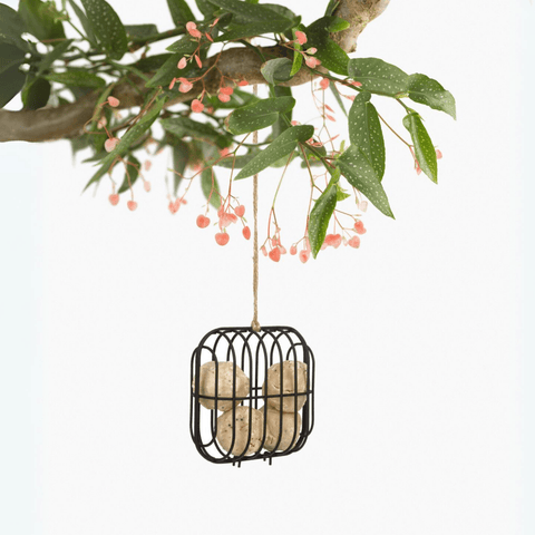 Singing Friend DEX - Wire Bird Feeder - Brown - Square Design - Sustainable Bird Furnishings