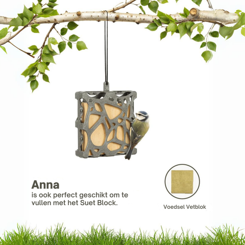 Singing Friend ANNA - Window Bird Feeder - 100% Recycled Material - Grey - Suction Cups Included